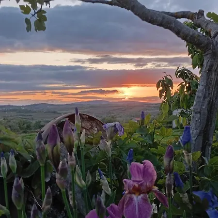 Hébergement de vacances Casa Da Marquinhas *