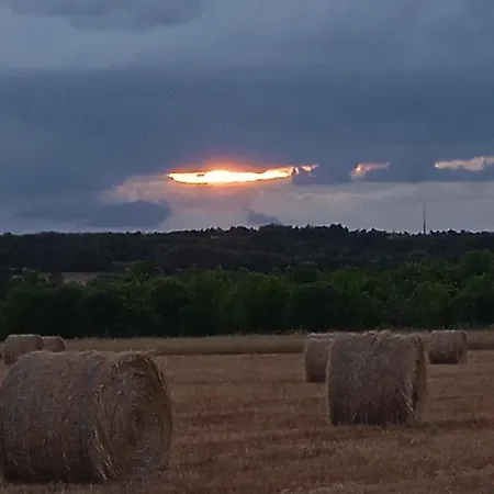 Casa Da Marquinhas * Ventozelo