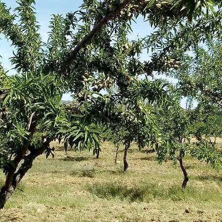 Hébergement de vacances Casa Da Marquinhas Ventozelo