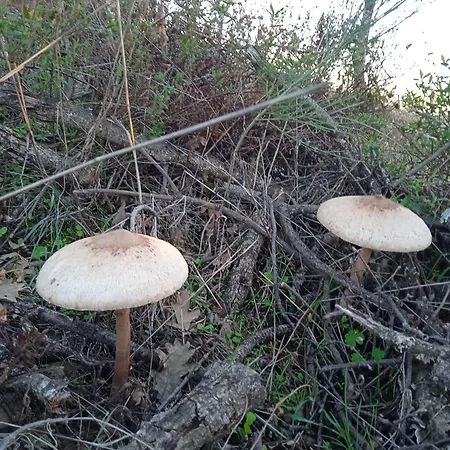 Casa Da Marquinhas Hébergement de vacances *
