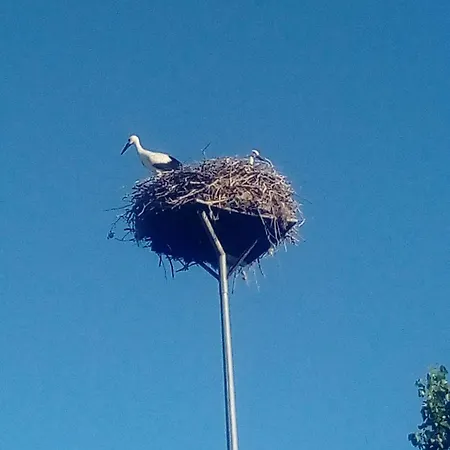 Casa Da Marquinhas Hébergement de vacances *