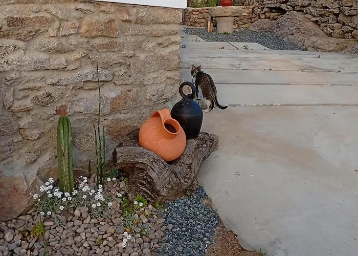 Дом отдыха Casa Da Marquinhas Ventozelo