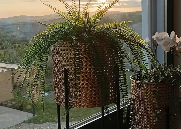 Casa Da Marquinhas *