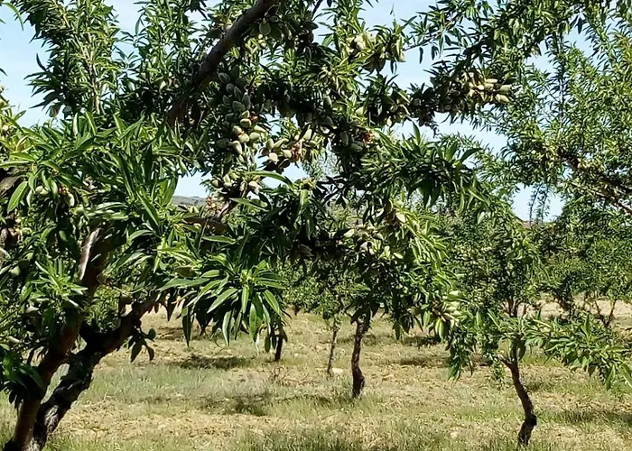 Дом отдыха Casa Da Marquinhas Ventozelo