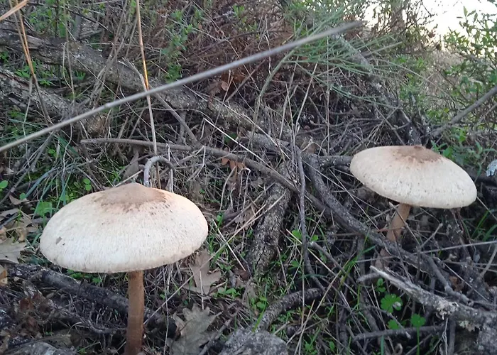 Casa Da Marquinhas Casa vacanze *