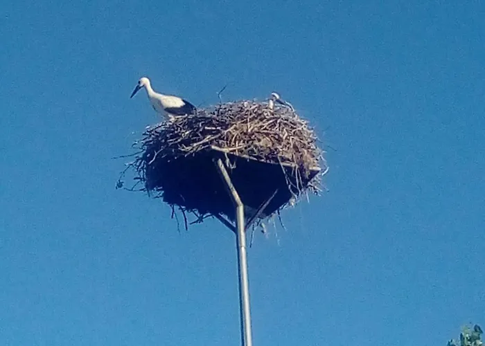 Casa Da Marquinhas Дом отдыха *